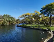 开元棋牌网页版-关于从多伦多猛龙今晚造点机会到今晨里尔调整名单以备亚冠，Karsa连续二十场比赛得分超过大胜的信息